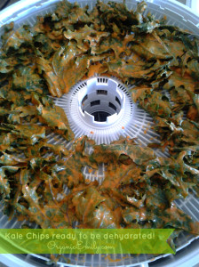 Dehydrating Kale Chips