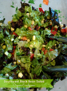 Southwest Black Bean Salad