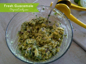 Fresh Guacomole