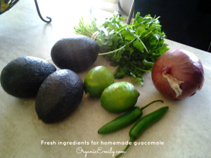 Ingredients for guacomole