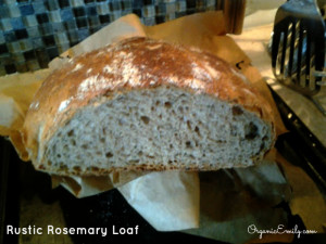 Rosemary Rustic Loaf