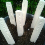 Clay Stamped Garden Markers