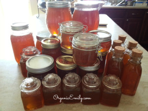 August 1st Honey Harvest 2013