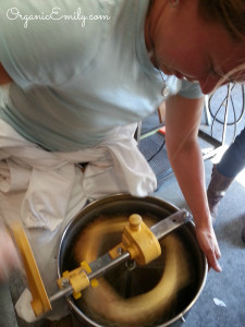 Extracting Honey 2