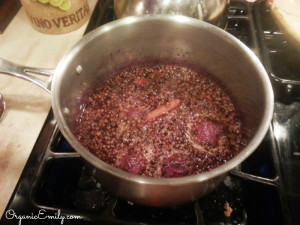 Simmering Elderberry Syrup