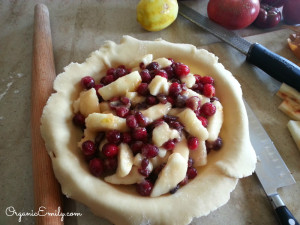Cranberry Pear Pie 1