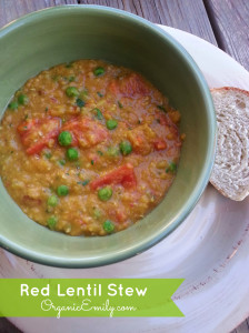 Red Lentil Stew