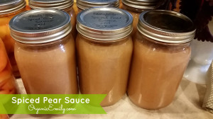 Spiced Pear Sauce