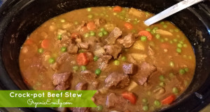 Crock-Pot Beef Stew