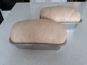 Second Rise Nautral Yeast Sandwich Bread