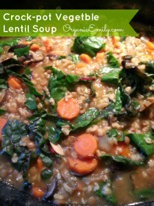 rp_Crock-pot-Vegetable-Lentil-Soup-224x3001.jpg