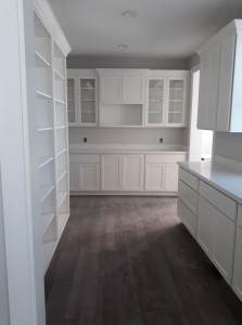 pantry with countertops